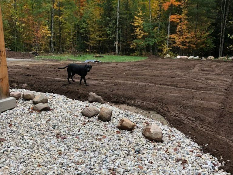 gravel and stone with a black dog in the background