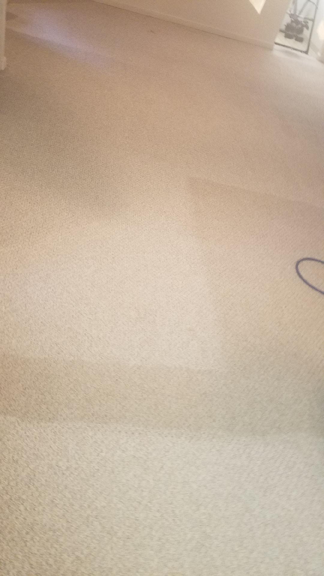 Clugston's Cleaning Service