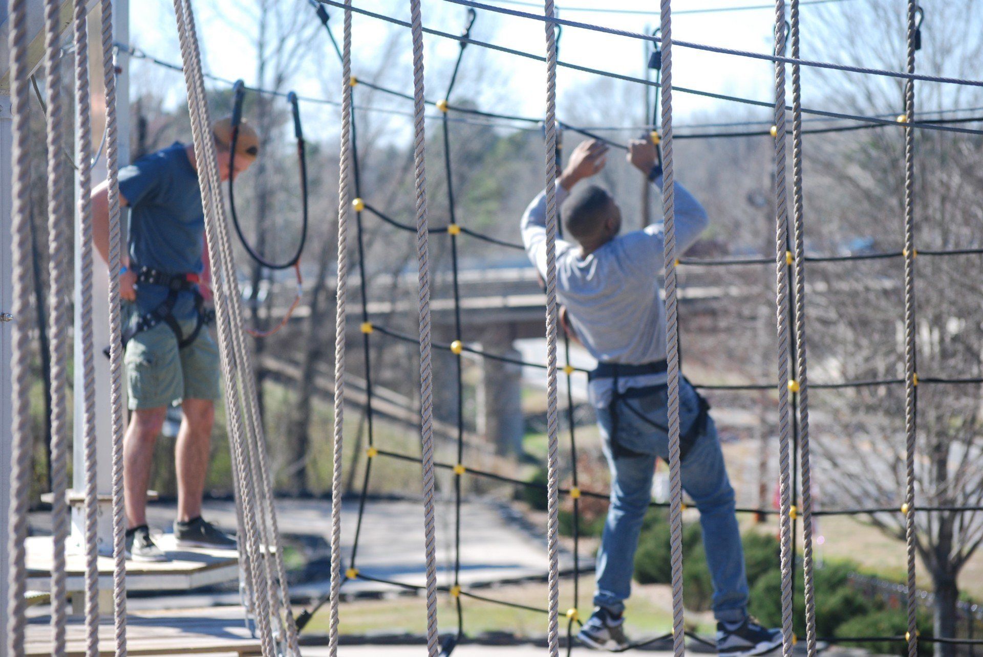 Rope bridge course #3