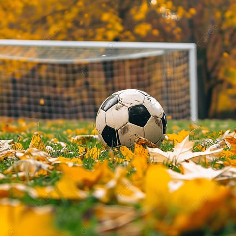 Soccer ball on fallen autumn leaves in front of a goal on a field