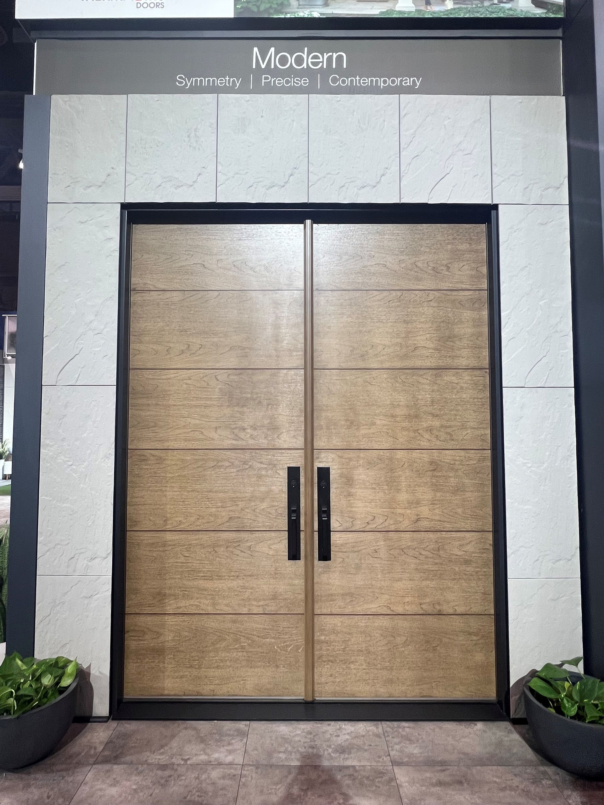 Modern door