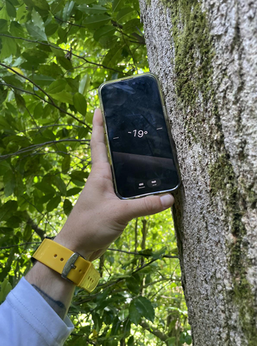 Hand holding a smartphone by a tree in a leafy outdoor setting, showing 19° on the screen