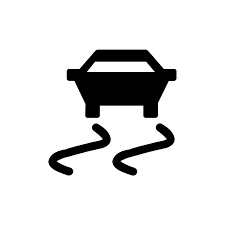 Vehicle Stability Assist warning light