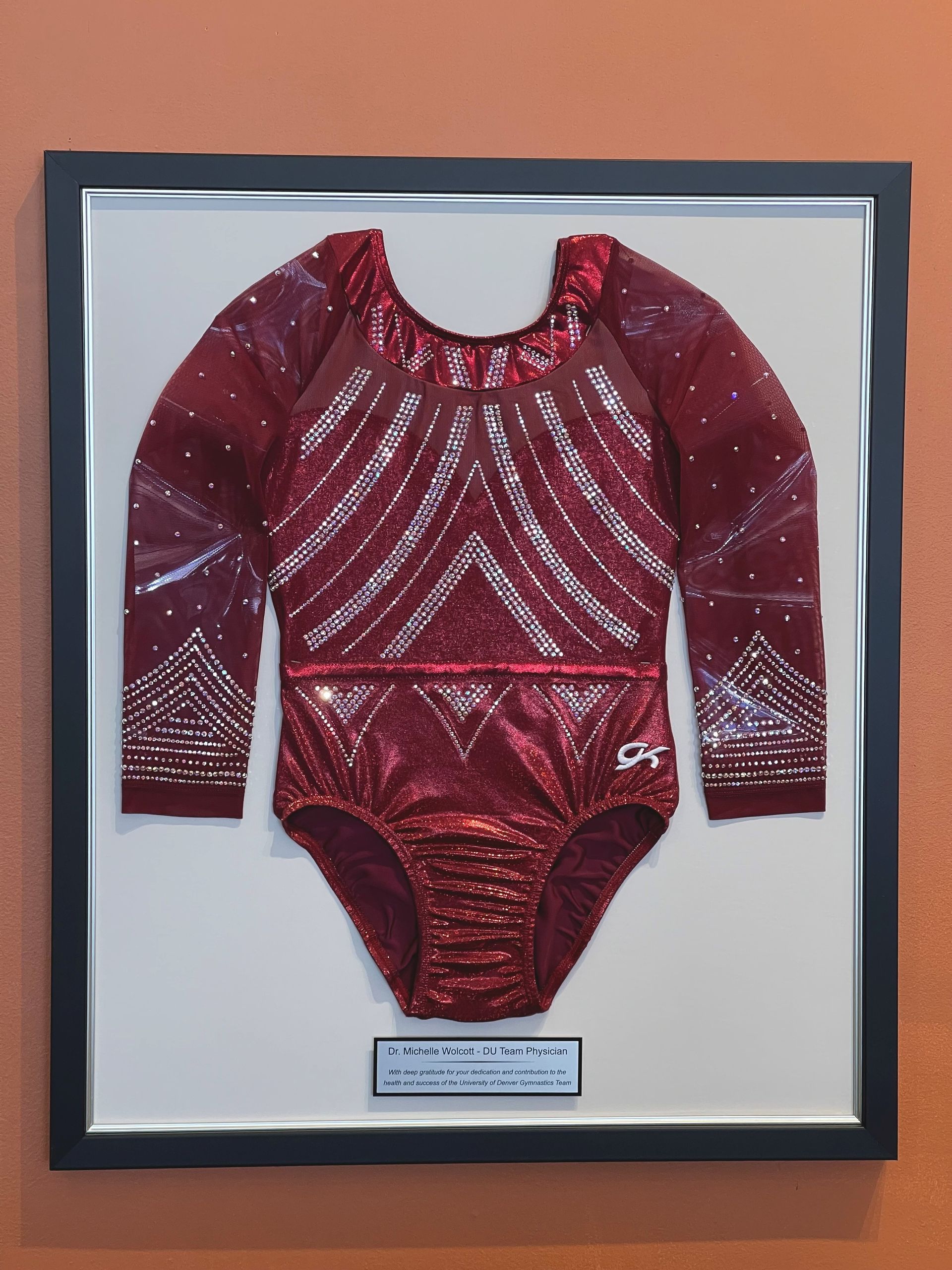 A picture of a red leotard is framed on a wall