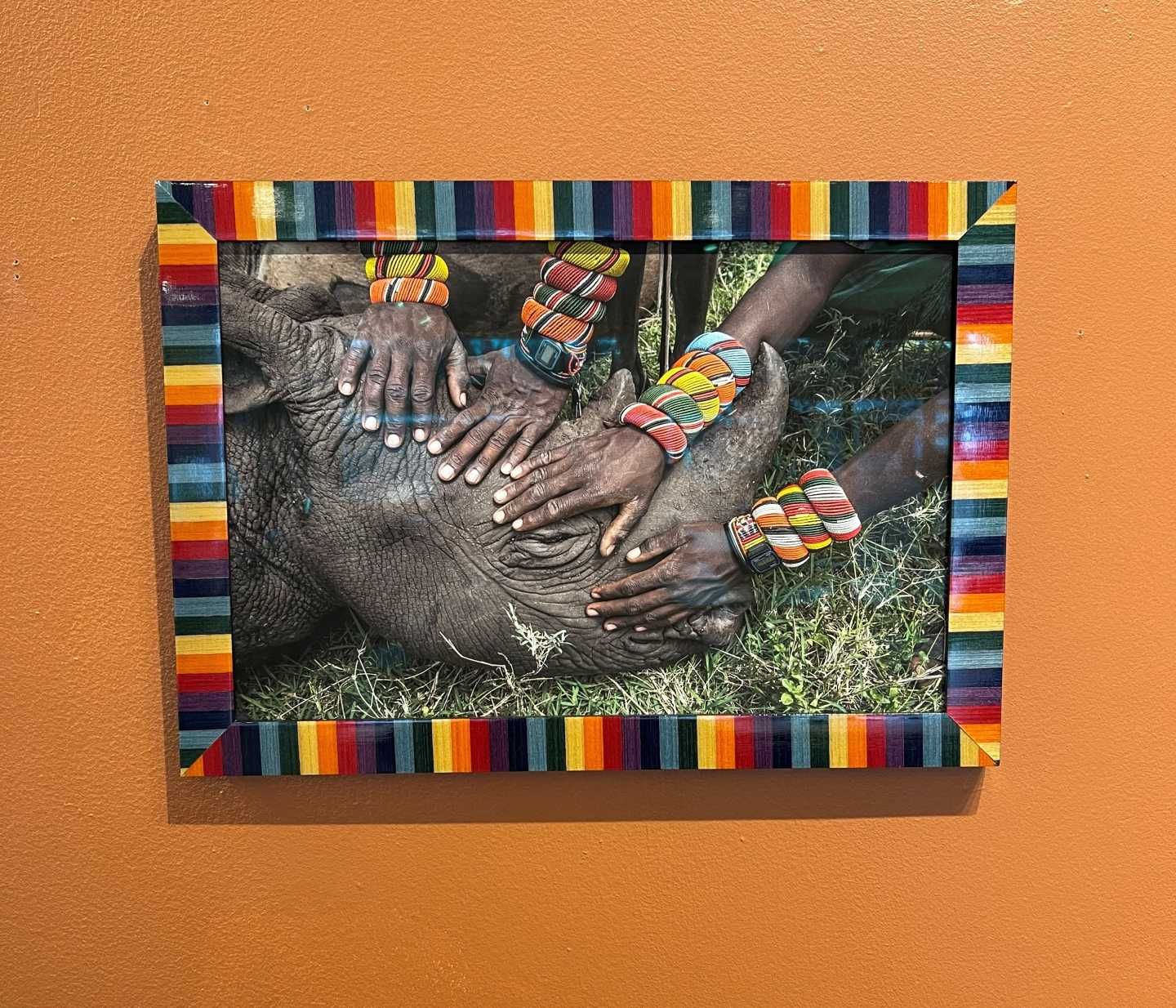 A picture of a rhino in a colorful frame on a wall.