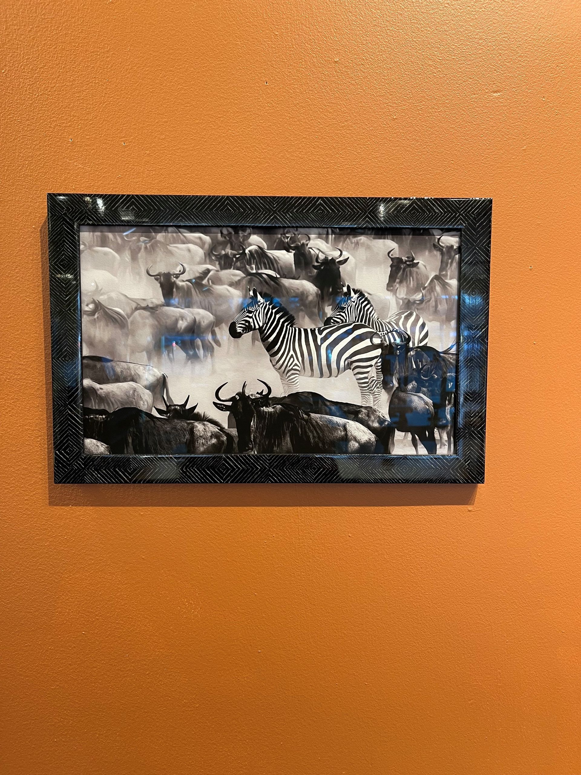 A framed picture of a zebra and a buffalo on a wall.