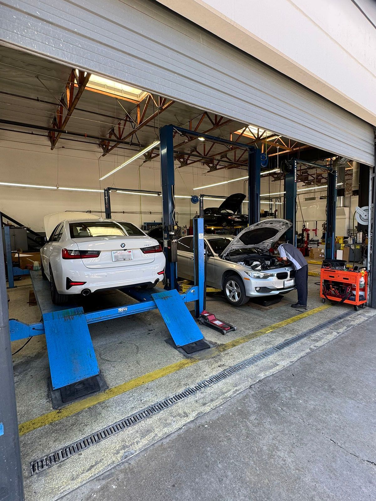Two cars in a garage on hydraulic lifts, with one white car on the left and one black car on the right