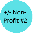 non-profit #2