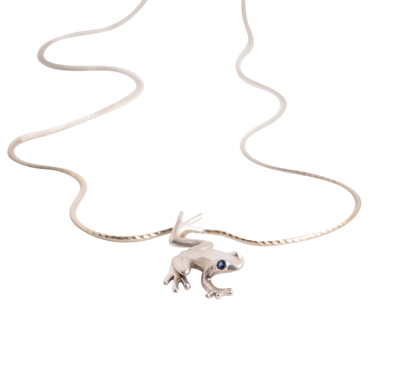 A necklace with a frog pendant on it