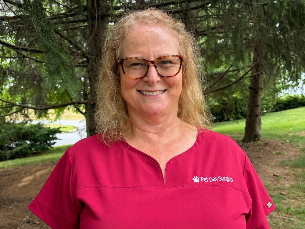 Dr. Anne Kulp