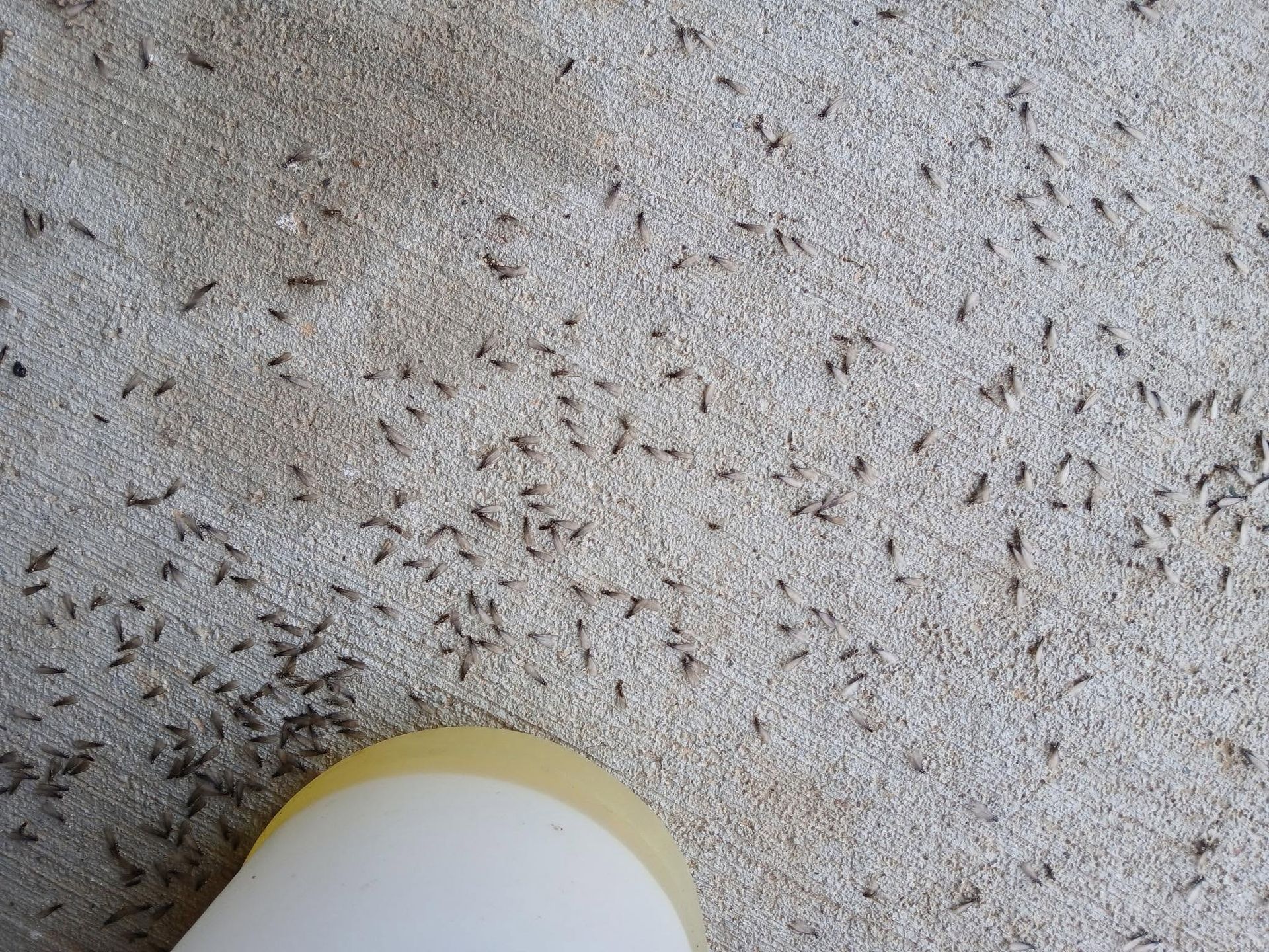 Concrete floor with scattered debris and the edge of a white-and-yellow object at the bottom.