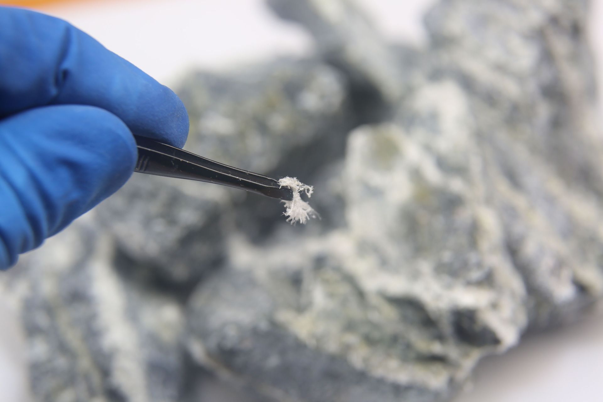 asbestos testing companies