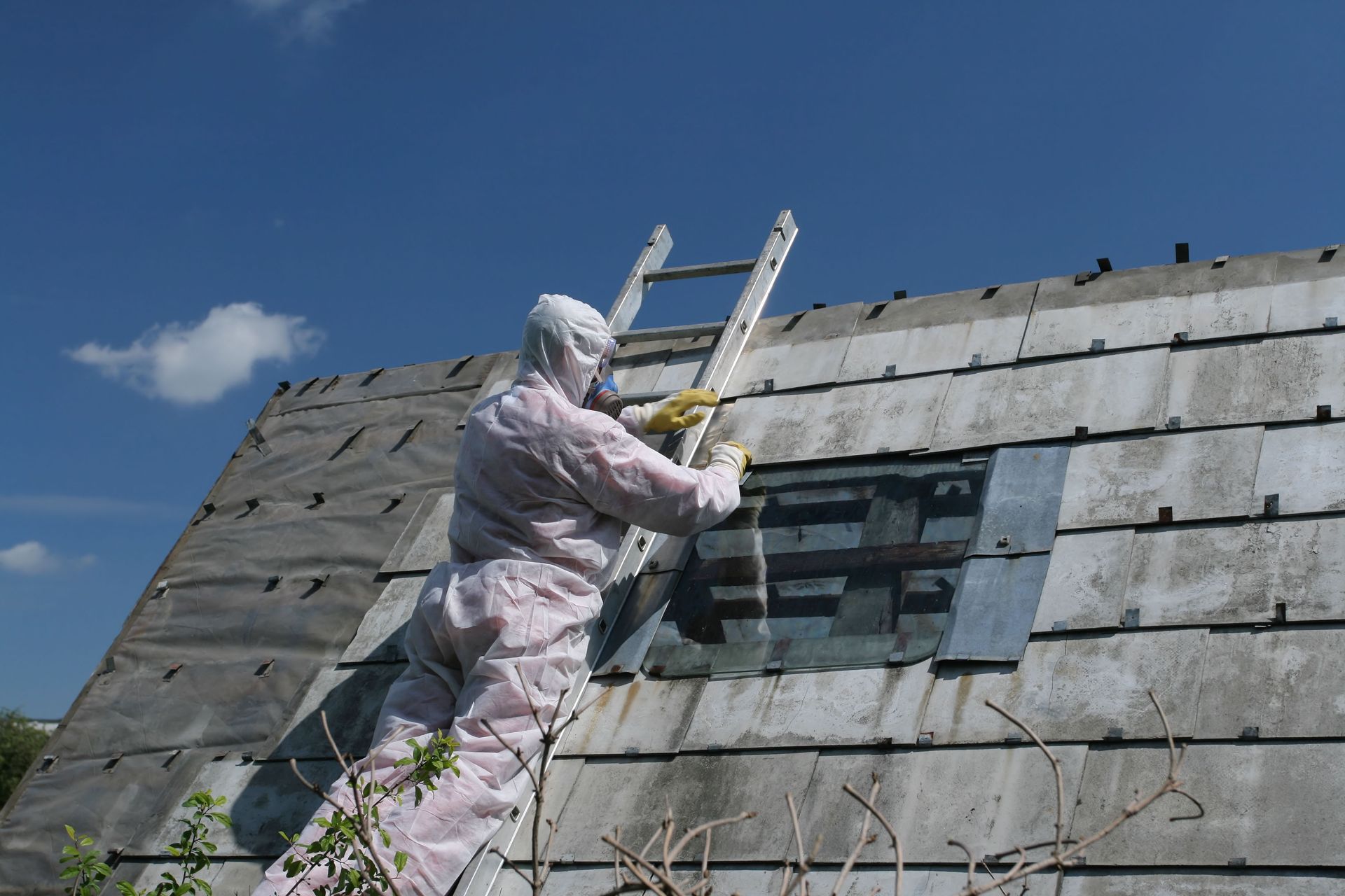 asbestos detection service