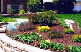 A garden with flowers and shrubs in front of a house.
