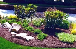 A garden with lots of plants and rocks in it