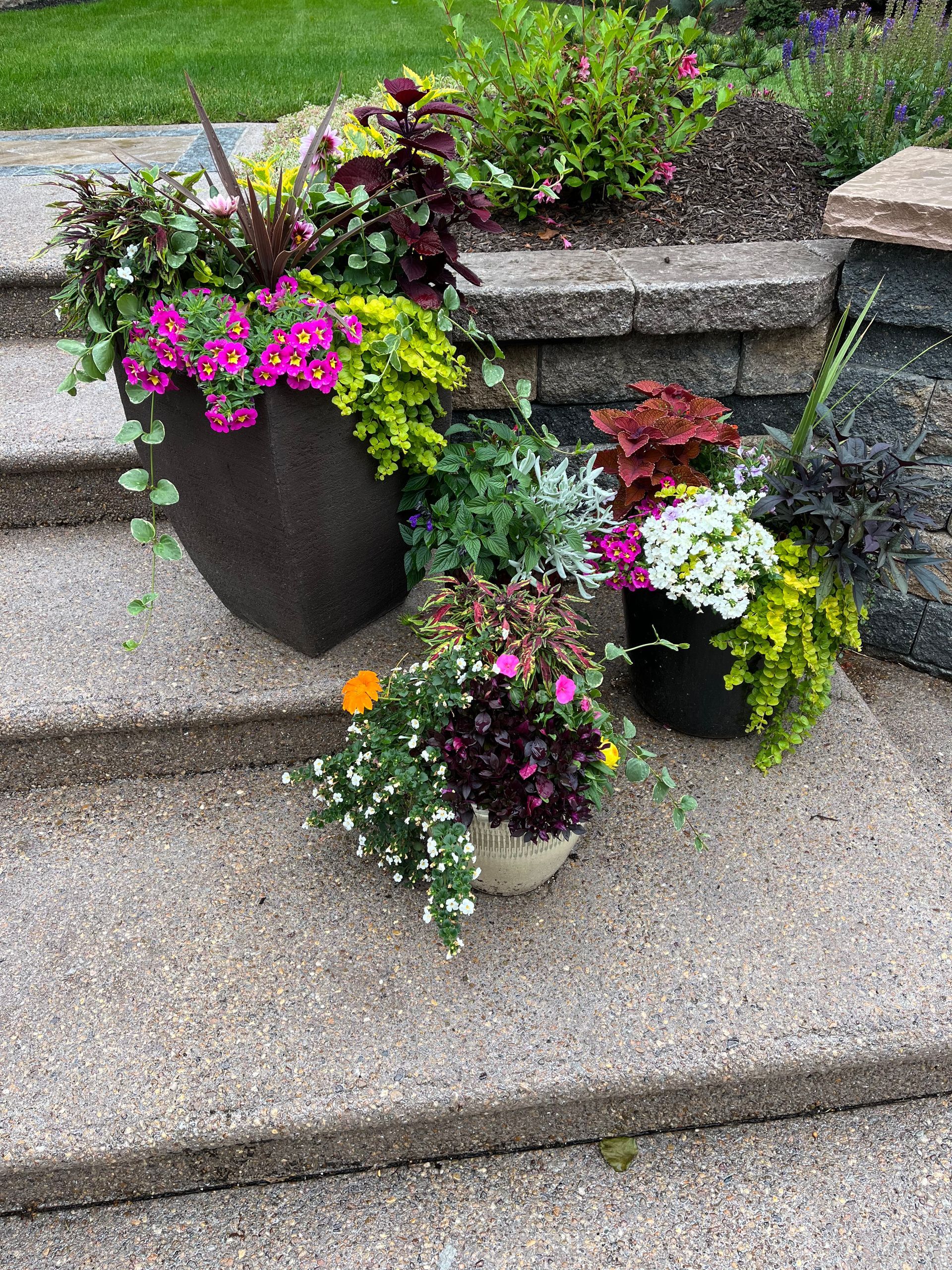 A group of potted plants sitting on top of a set of stairs.