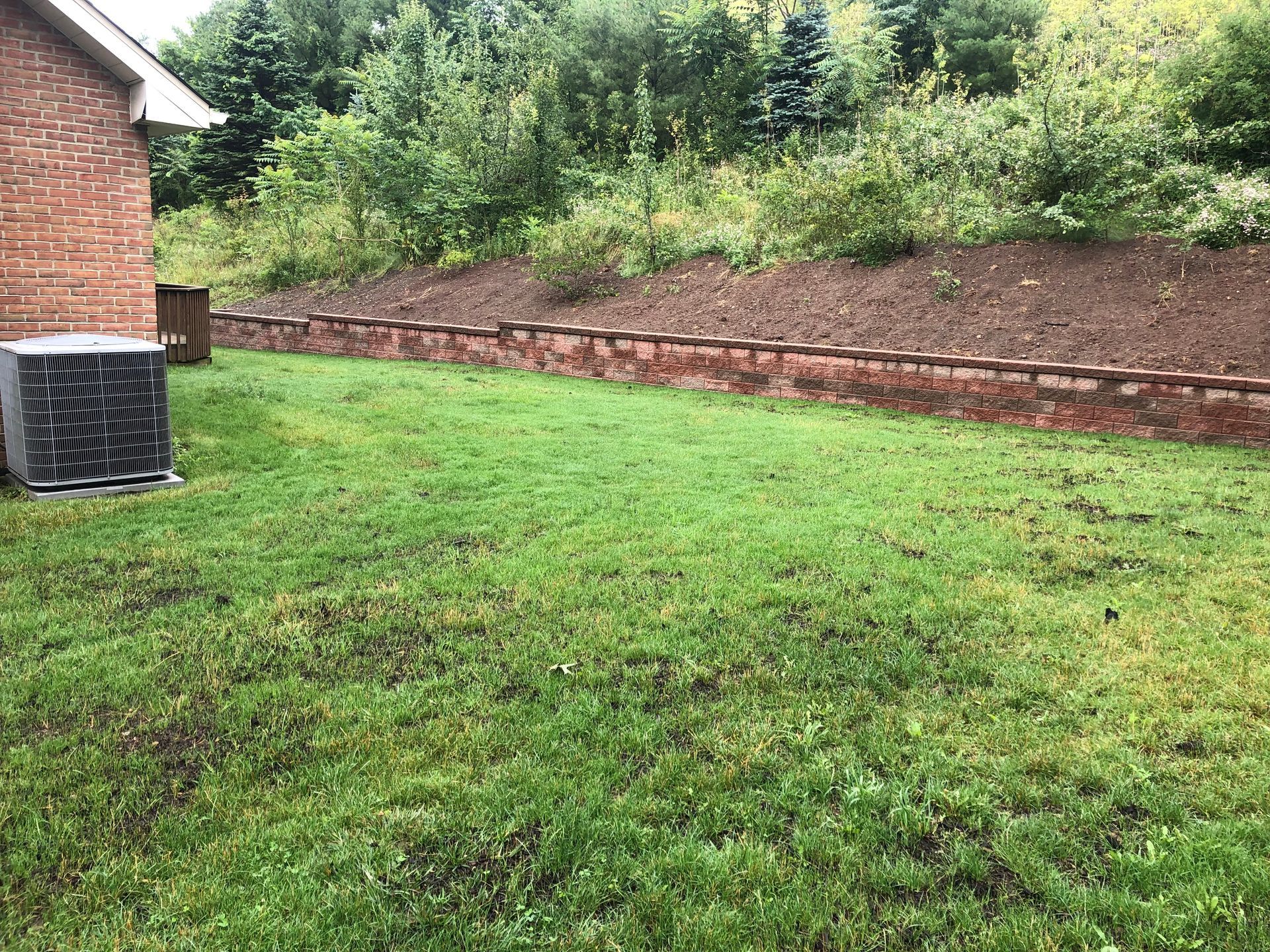 A lush green lawn with a brick wall and a house in the background.