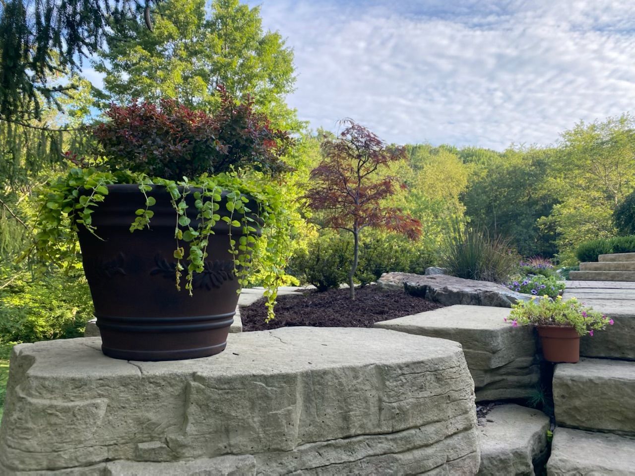 A potted plant is sitting on top of a stone wall.