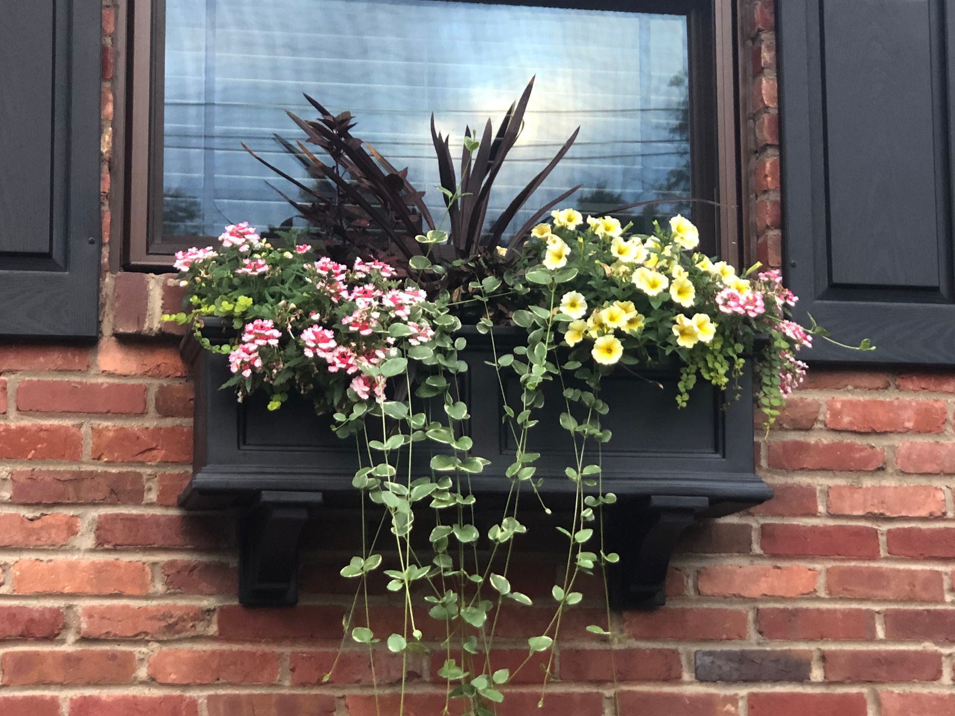 A window box with pink and yellow flowers on a brick wall
