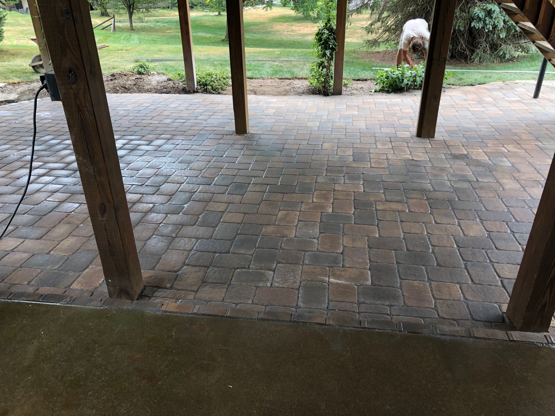 A dog is standing on a brick patio under a wooden structure.