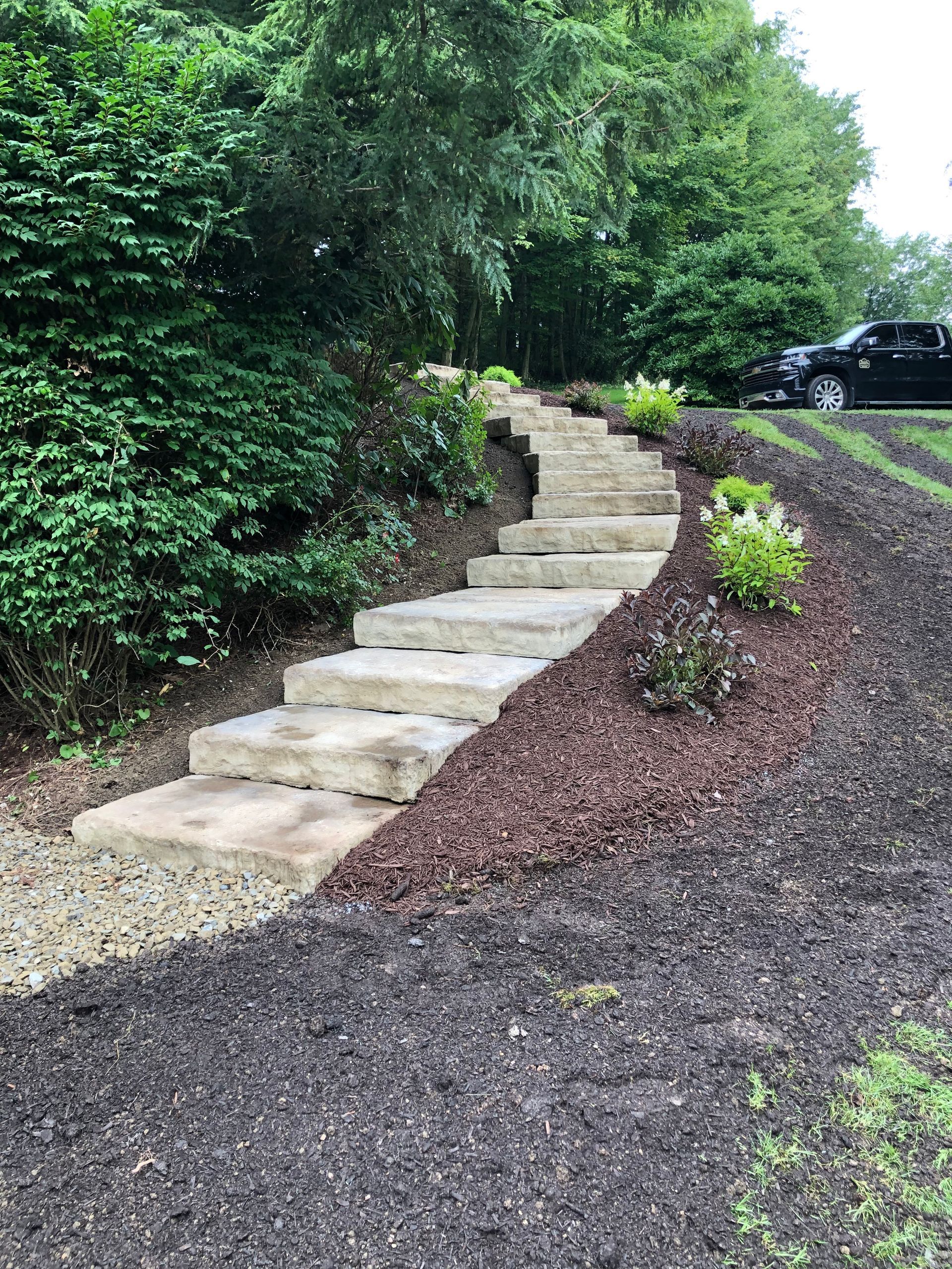 A set of stairs leading up to a driveway surrounded by trees.