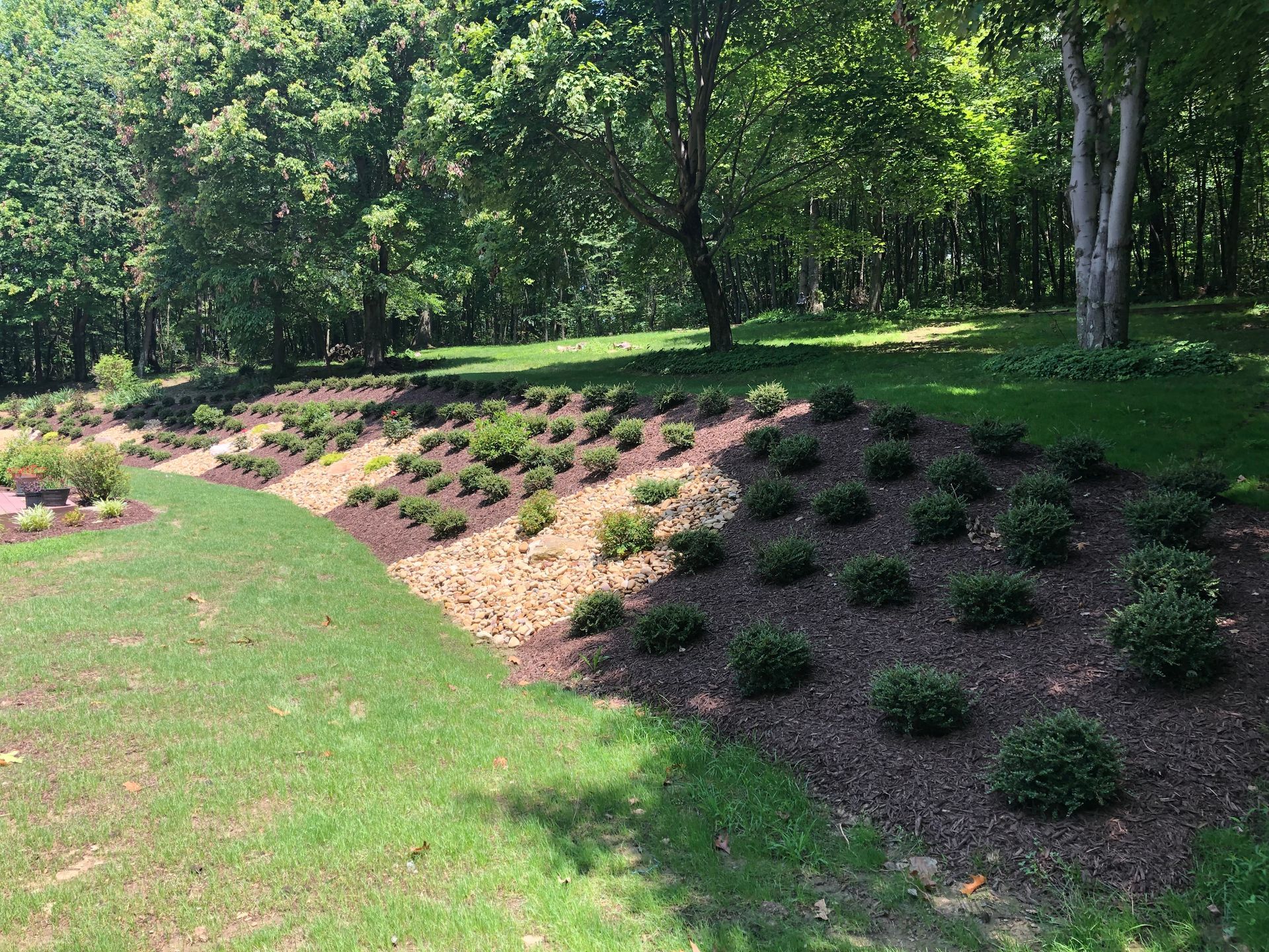 A lush green lawn surrounded by trees and bushes.