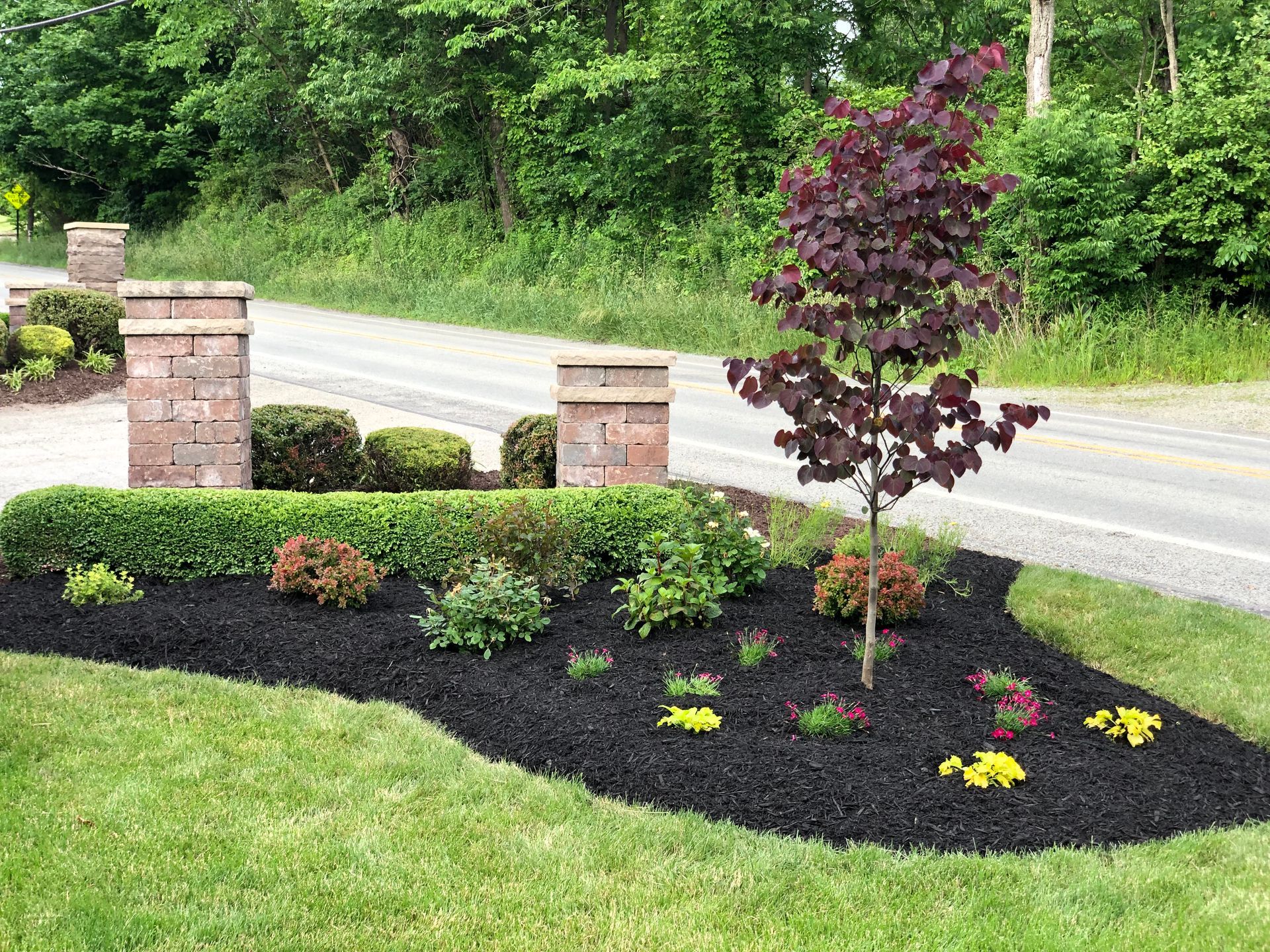 A lush green lawn with a tree in the middle of it next to a road.
