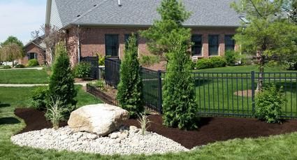 Landscaped front yard with a large boulder, mulch, decorative rocks, and tall green evergreens along a black metal fence.