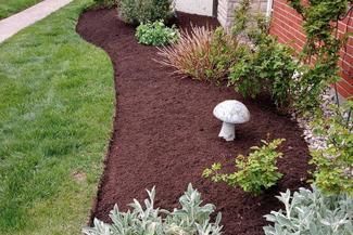 A curved garden bed with dark mulch, various shrubs, a decorative mushroom ornament, and a brick house wall.