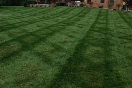 A lush green lawn with a professional, neatly mowed crosshatch pattern of alternating light and dark grass stripes.
