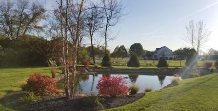 A calm pond surrounded by autumn-colored shrubs and trees on a sunny, clear day, with a house visible in the background.