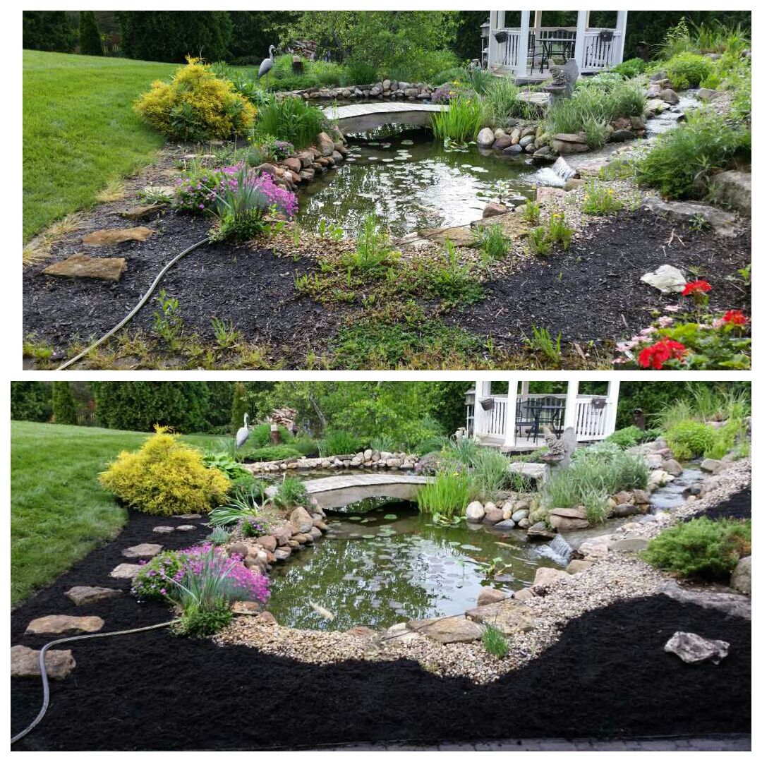 Before and after comparison of a backyard koi pond landscaping project featuring new stone pavers and fresh mulch.