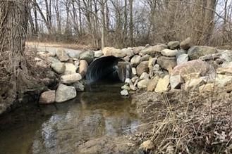 A black culvert pipe embedded in a stone retaining wall over a shallow, muddy stream in a wooded, dormant forest setting.