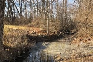 A narrow, shallow stream flows through a wooded area with bare, winter trees and exposed muddy banks under a blue sky.