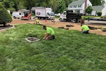 Three workers in bright green shirts install sod on a residential lawn, with trucks and landscaping equipment nearby.