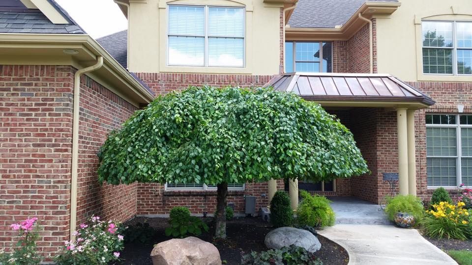 monroe-grounds-maintenance