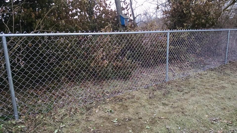 Chain-link fences