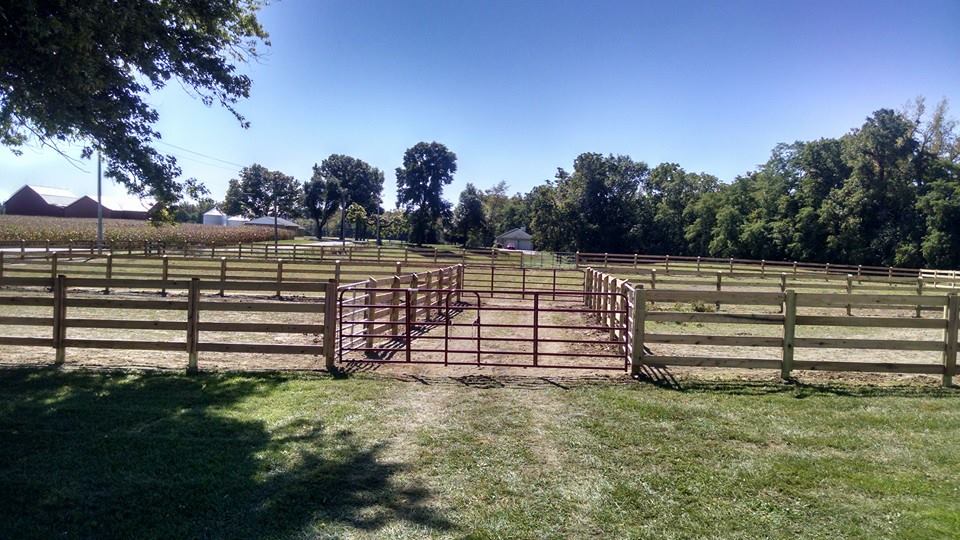 Farm and livestock fence