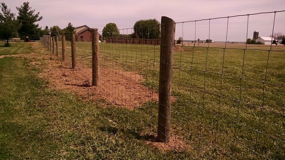 Farm and livestock fence