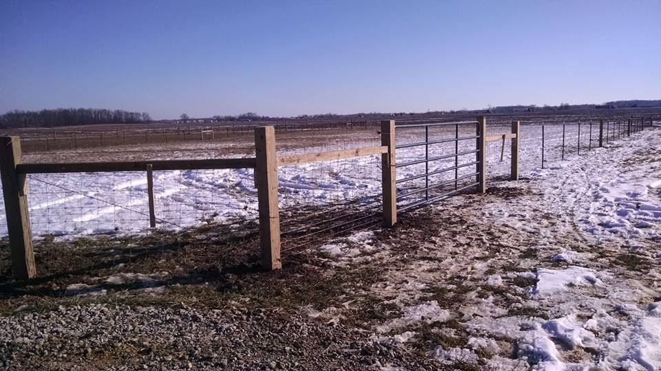 Farm and livestock fence