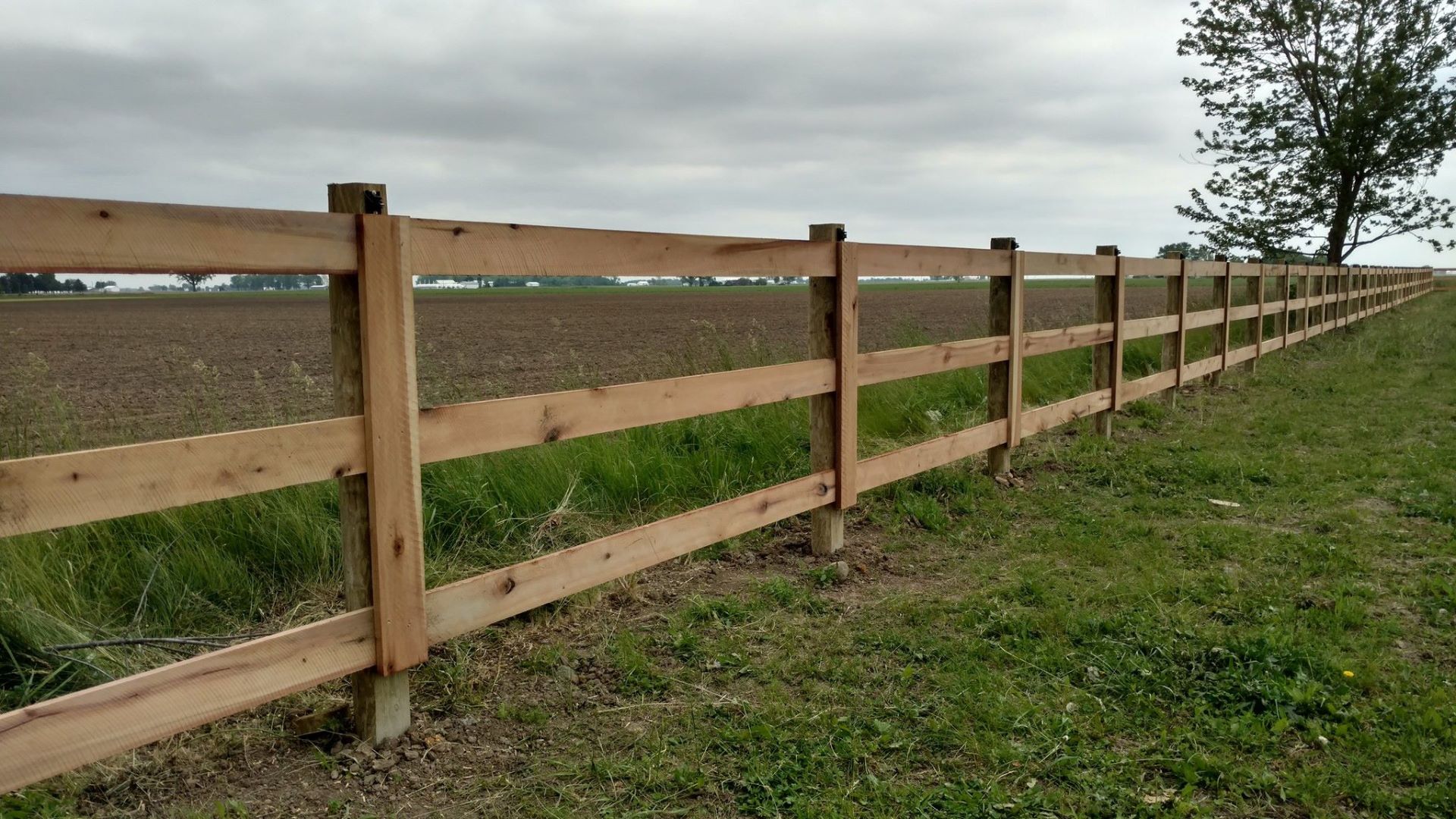 Farm and livestock fence