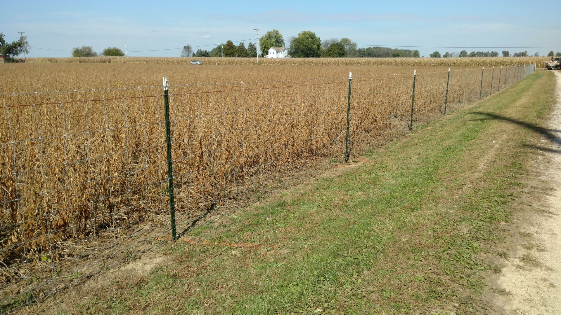 Farm and livestock fence