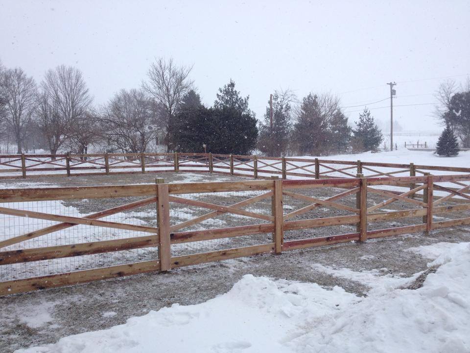 Farm and livestock fence