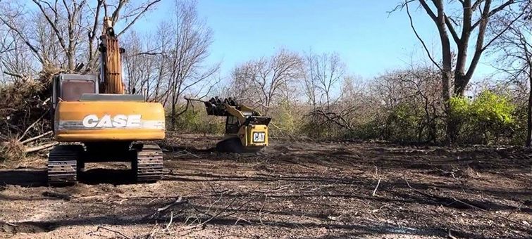 An excavator and a small loader clearing a wooded area under a blue sky.