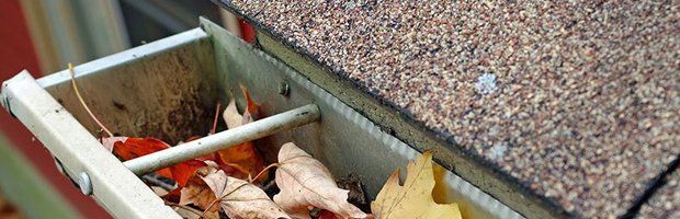 Gutter Services