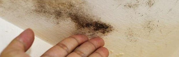 Mold