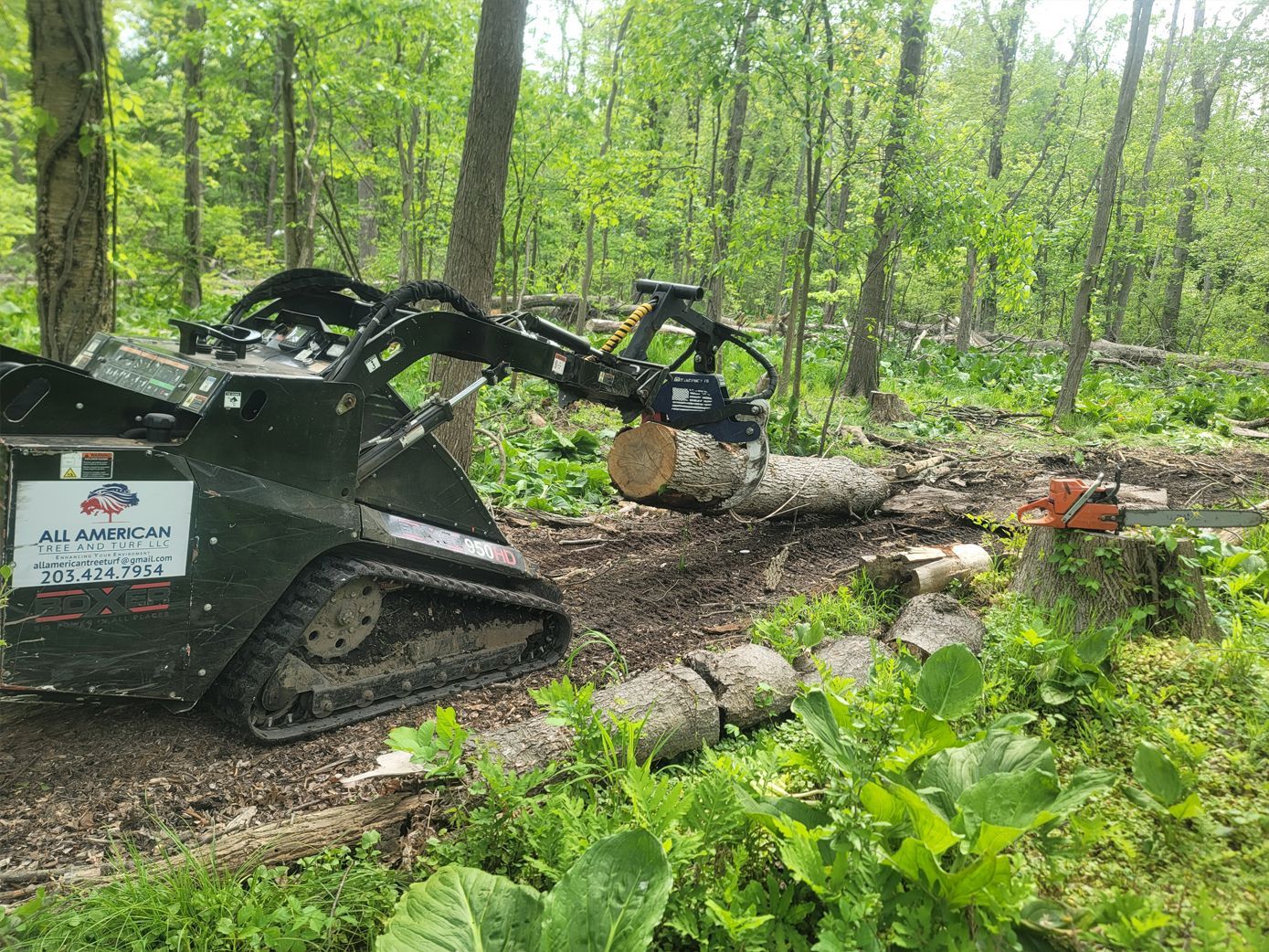 A machine is cutting a log in the woods with a chainsaw.