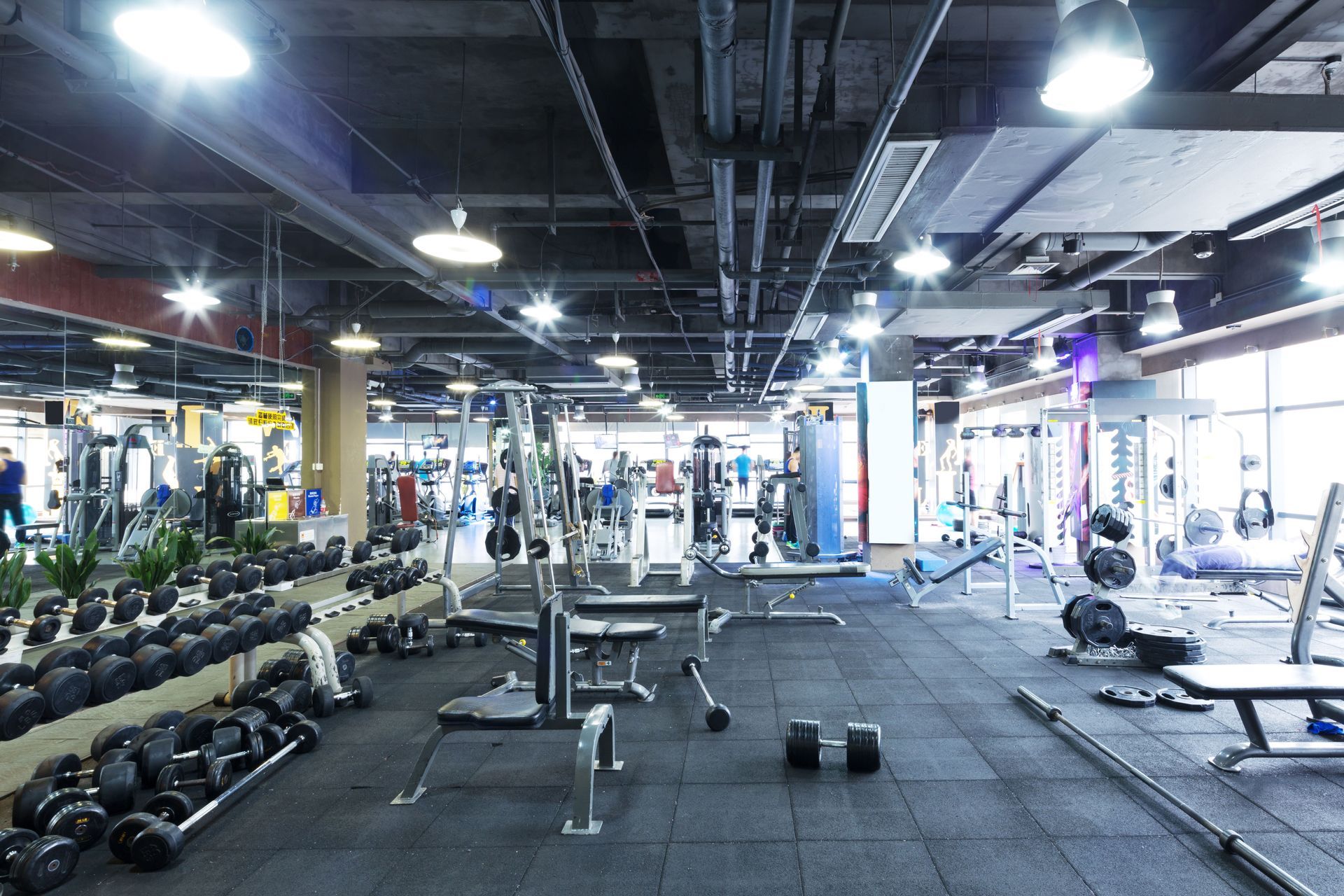 Why Gym Memberships Are the Ultimate Preventive Medicine