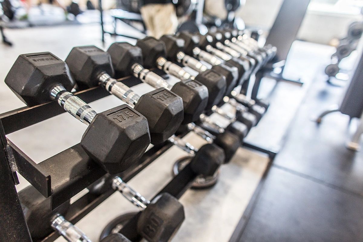 A row of dumbbells are lined up on a rack in a gym.