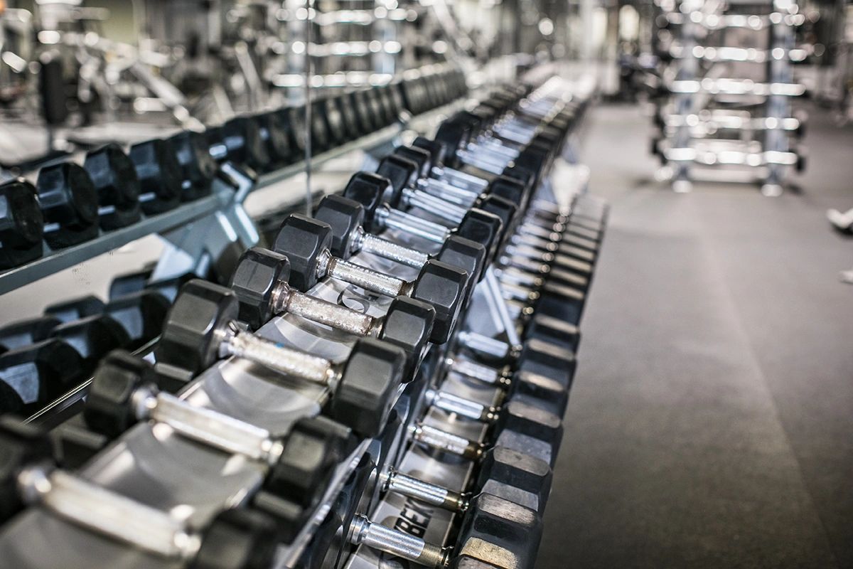 A row of dumbbells are lined up in a gym.